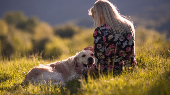 Hundreisen.de – Die Seite für den Urlaub mit Hund